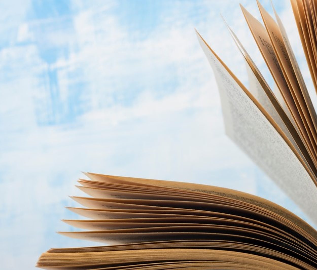 Handboek Dienst Toeslagen nu voor iedereen beschikbaar