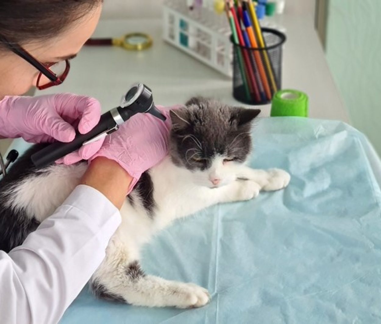 Bod op onderneming bepaalt waarde bij inbreng