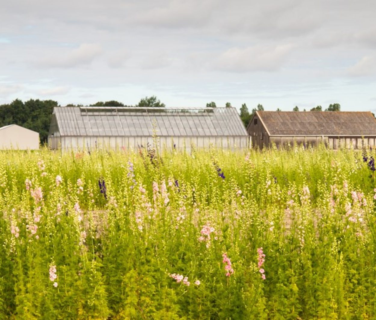 Bestemmingswijziging levert belastbare winst op