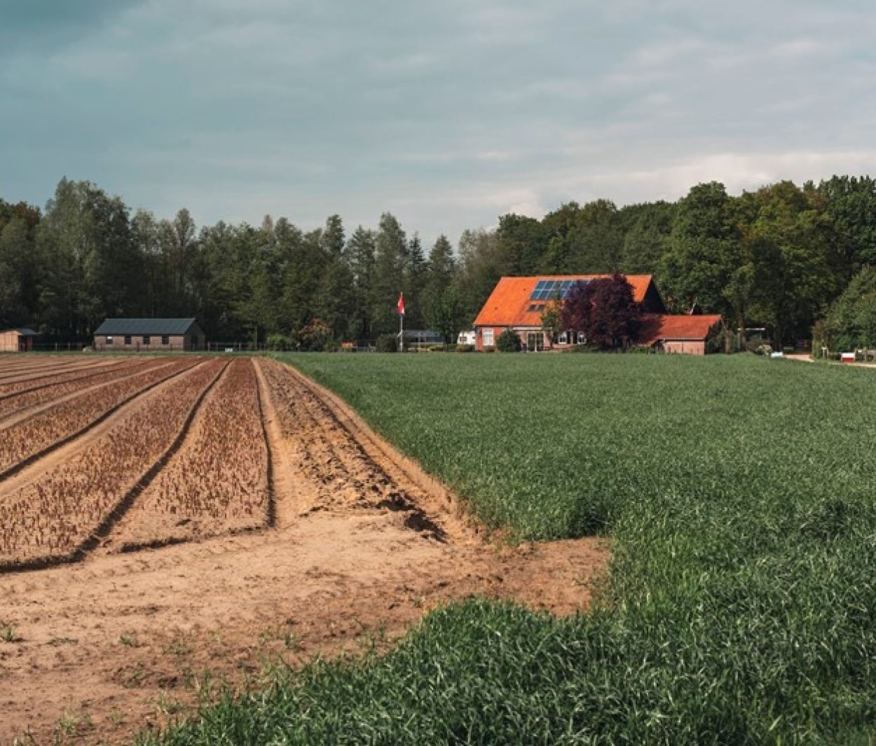Rente van 9% op lening van ouders is niet zakelijk